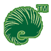 Ecocare International
